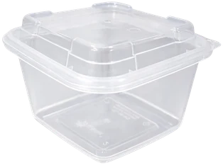 Tamper Evident Containers / Clamshells · TE-16-SQ