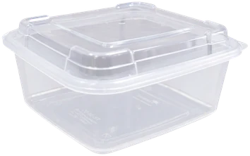 Tamper Evident Containers / Clamshells · TE-38-SQ